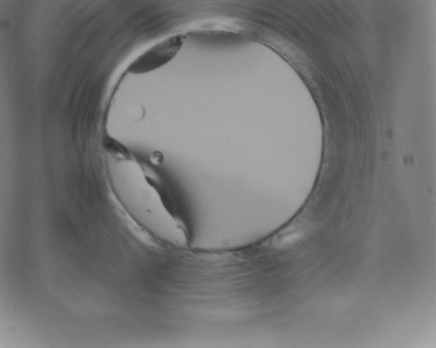 X0000077290816200611101341