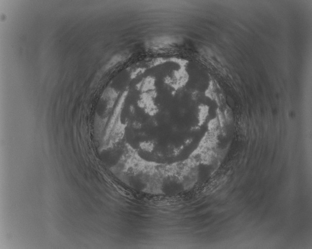 X0000077290817200611101340