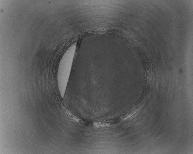 X0000077290818200611101340