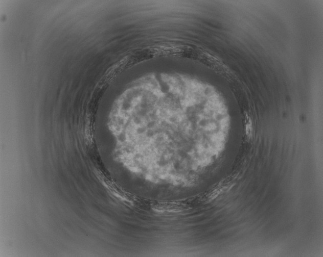 X0000077290819200611101340