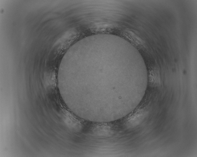 X0000077290820200611101340