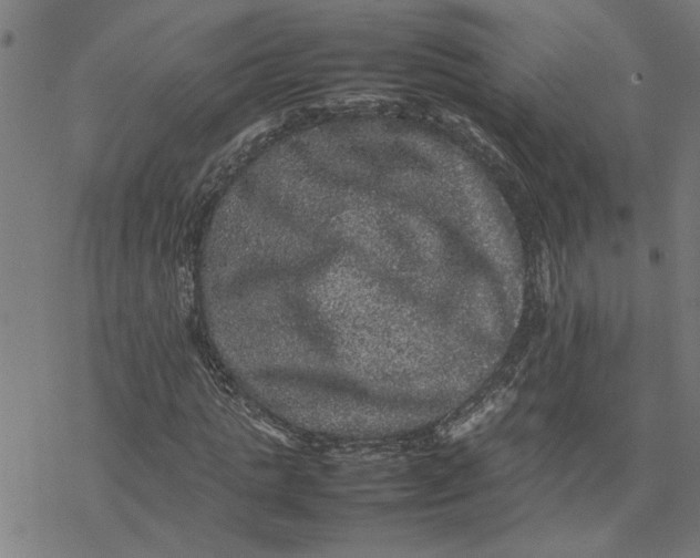 X0000077290821200611101340