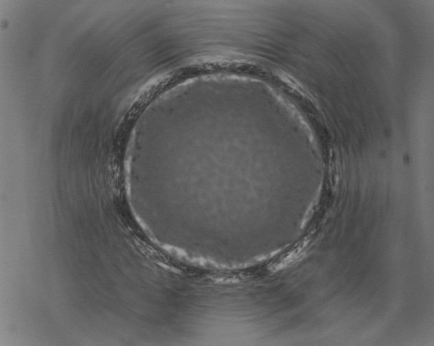 X0000077290822200611101340