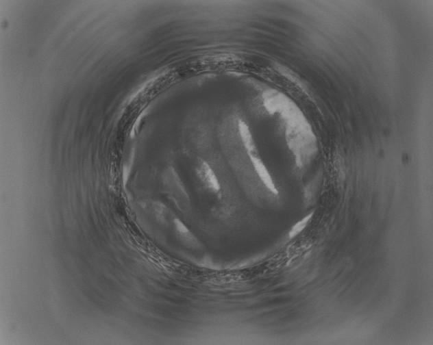 X0000077290823200611101340