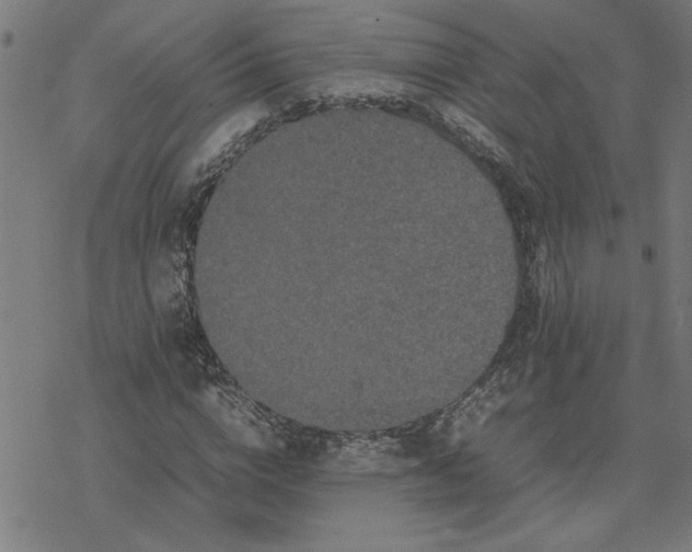 X0000077290824200611101340