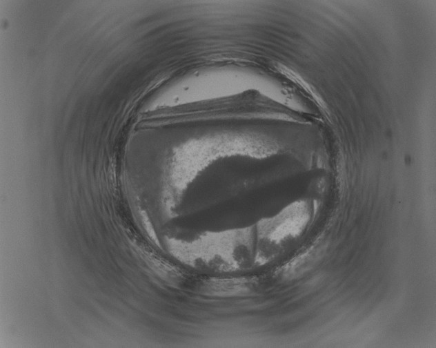 X0000077290825200611101340