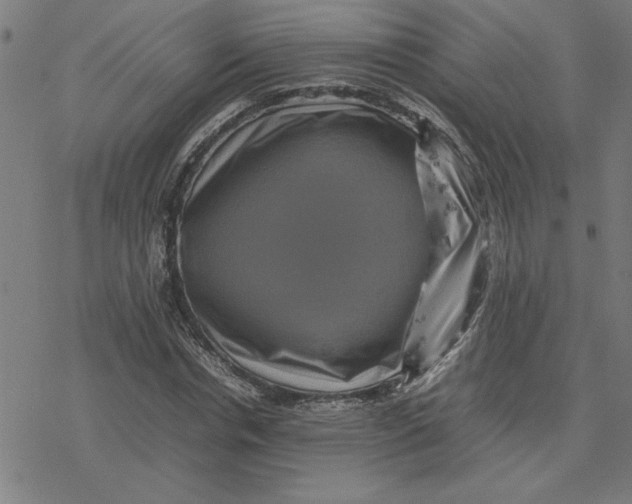 X0000077290826200611101340