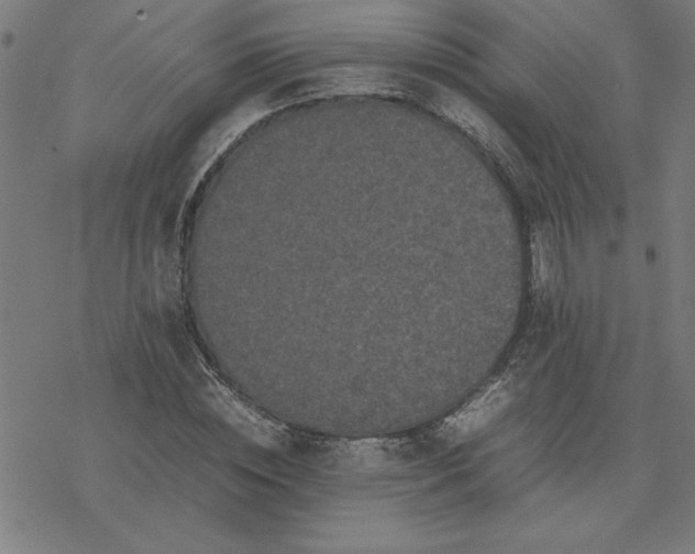 X0000077290828200611101341