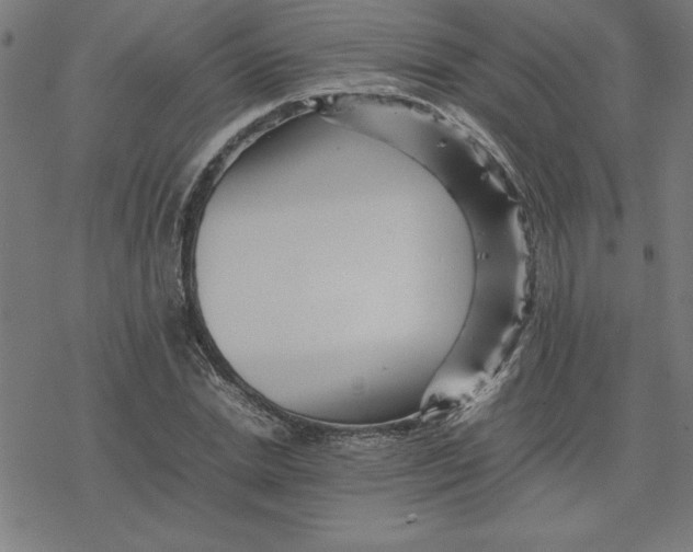 X0000077290830200611101341