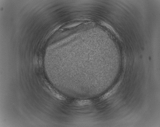 X0000077290833200611101341