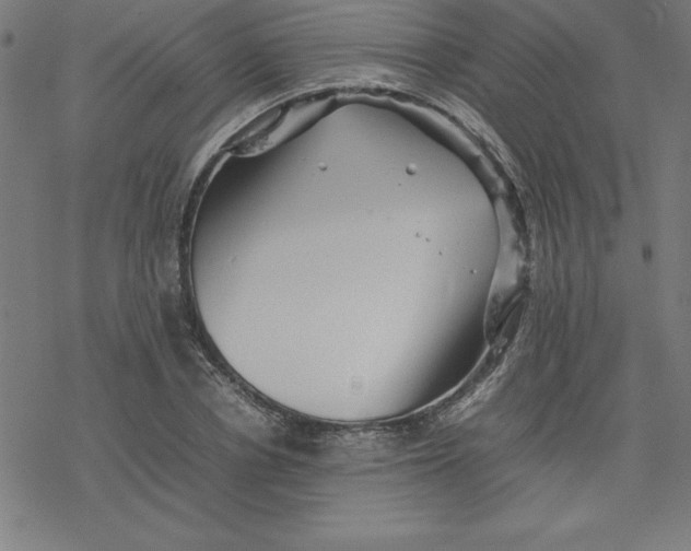 X0000077290834200611101341