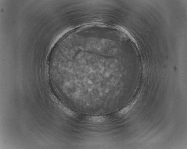 X0000077290835200611101341