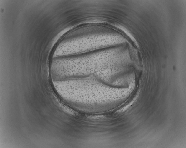 X0000077290837200611101341