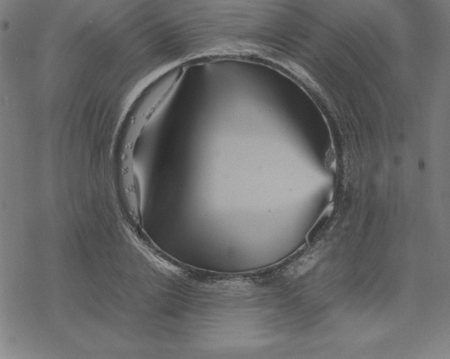 X0000077290838200611101341