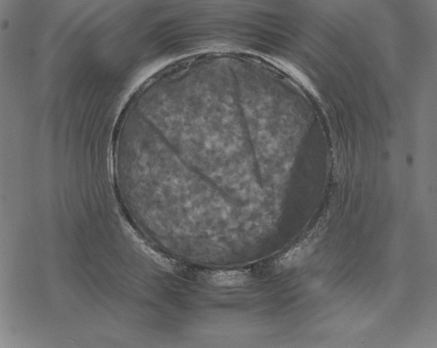 X0000077290839200611101341