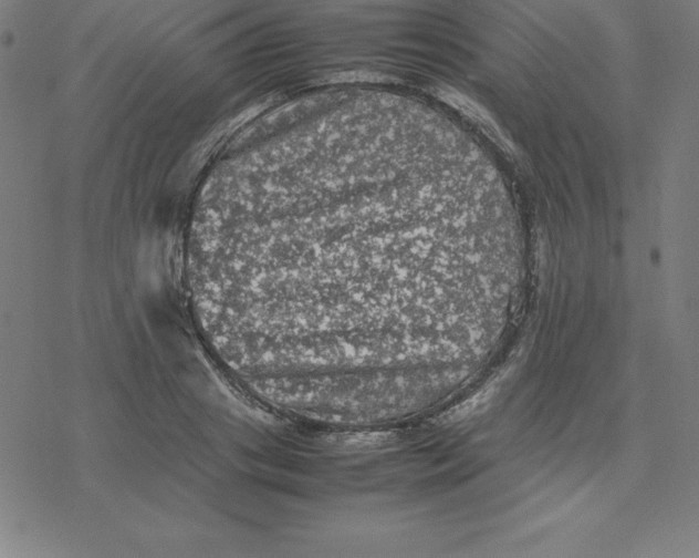 X0000077290841200611101341