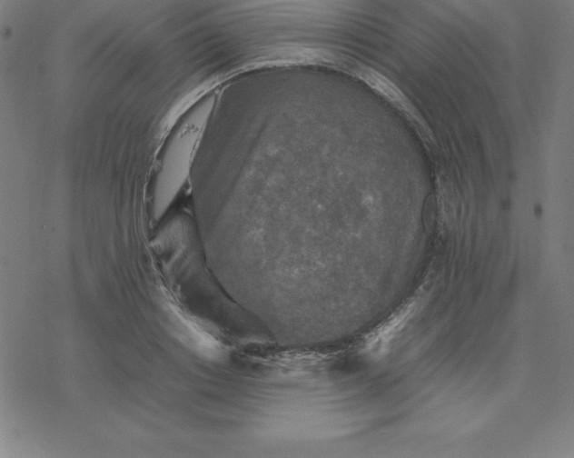 X0000077290842200611101341