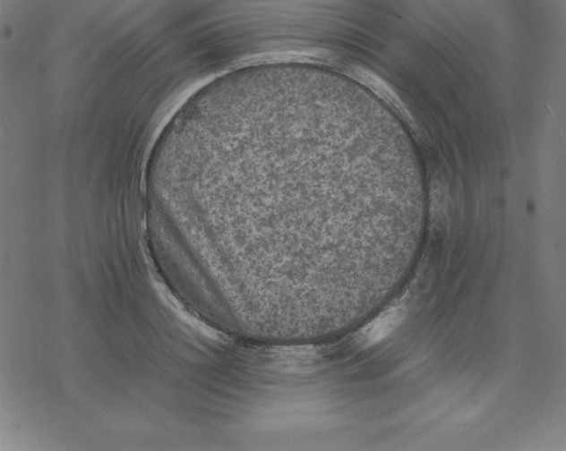 X0000077290844200611101341