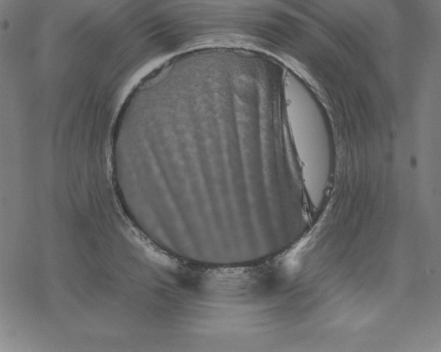 X0000077290846200611101341