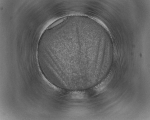 X0000077290847200611101341