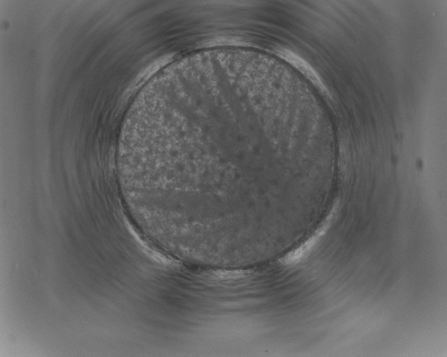 X0000077290849200611101341