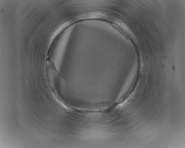 X0000077290850200611101341