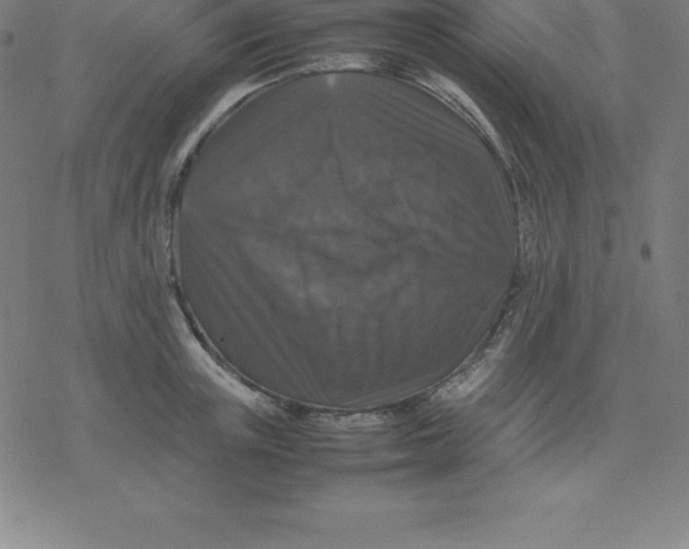 X0000077290851200611101341