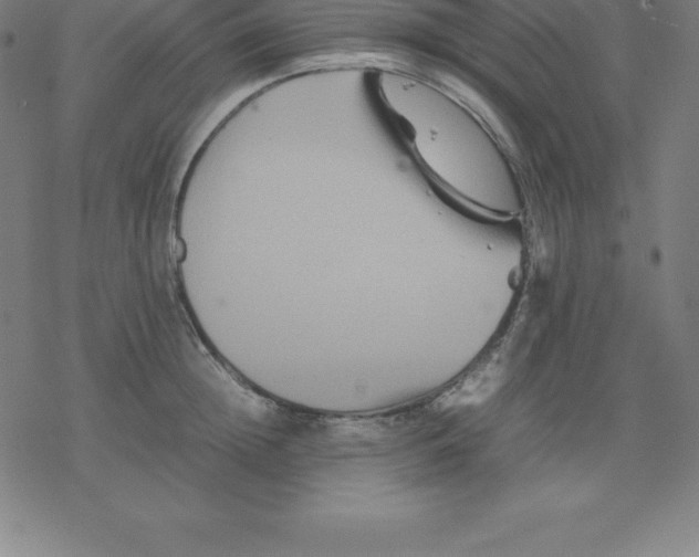 X0000077290852200611101341