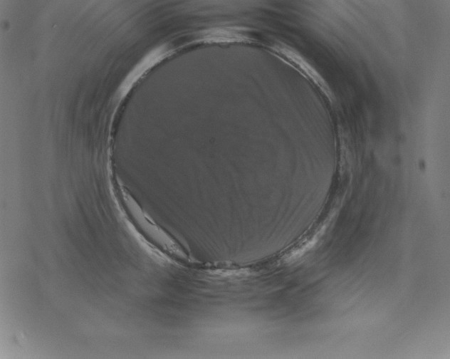 X0000077290853200611101341