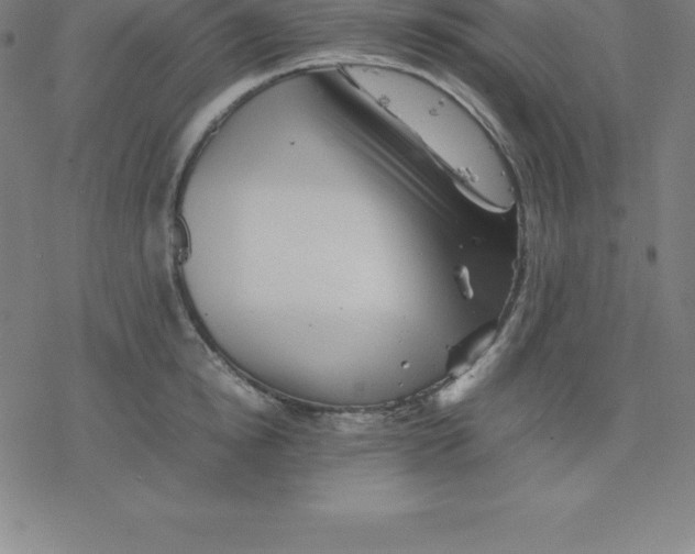 X0000077290854200611101341