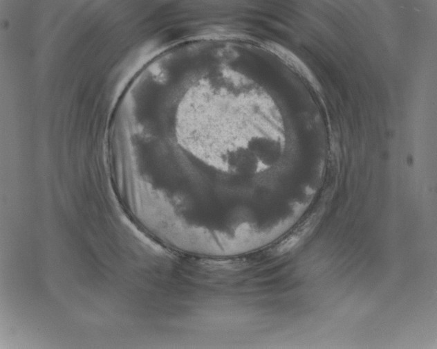 X0000077290855200611101341