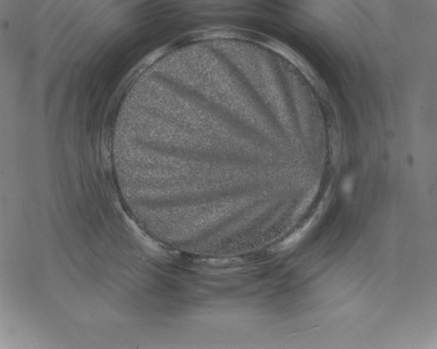 X0000077290857200611101341