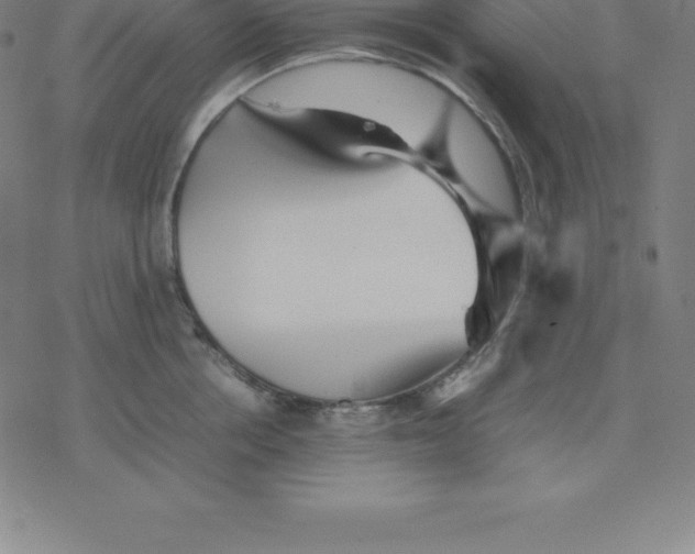 X0000077290858200611101341