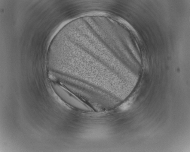 X0000077290860200611101341