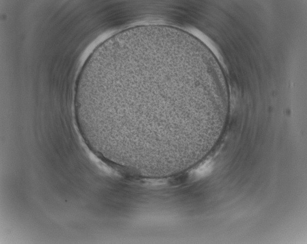 X0000077290861200611101341