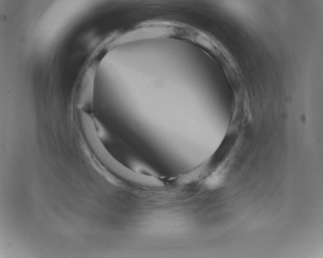 X0000077290862200611101341