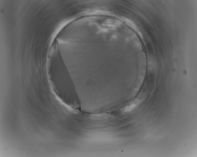 X0000077290863200611101341