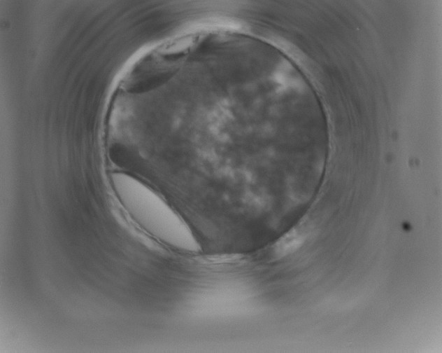 X0000077290864200611101341