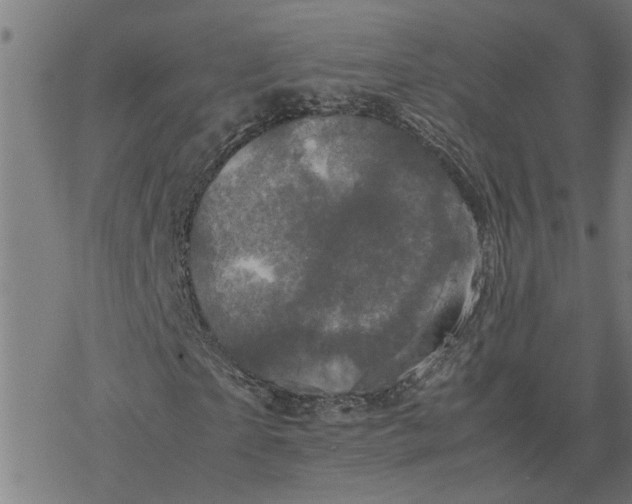 X0000077290865200611101340