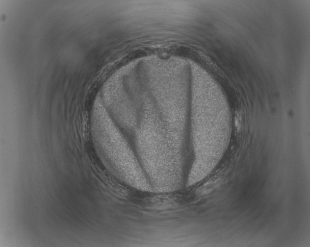 X0000077290867200611101340