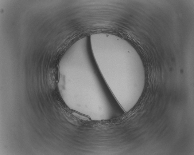 X0000077290868200611101340