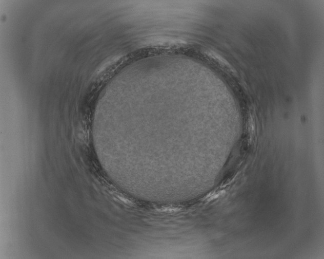 X0000077290869200611101340