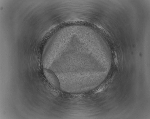 X0000077290870200611101340