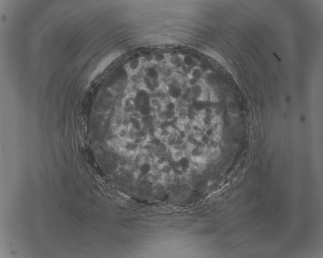 X0000077290871200611101340