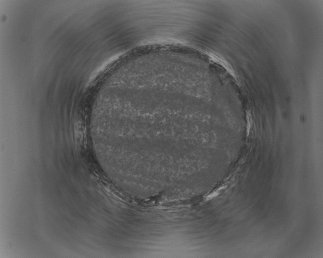 X0000077290872200611101340