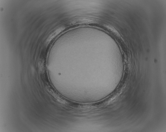 X0000077290873200611101340