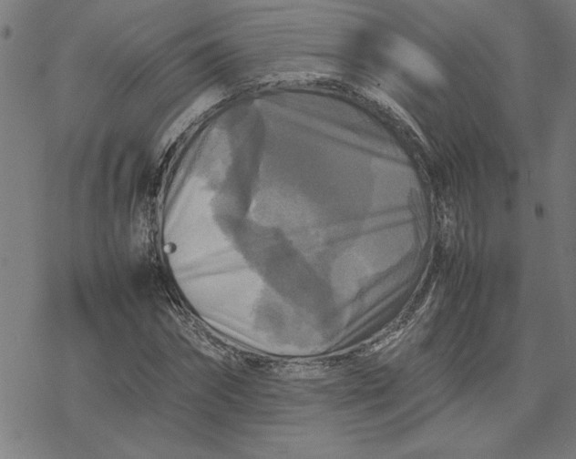 X0000077290874200611101340