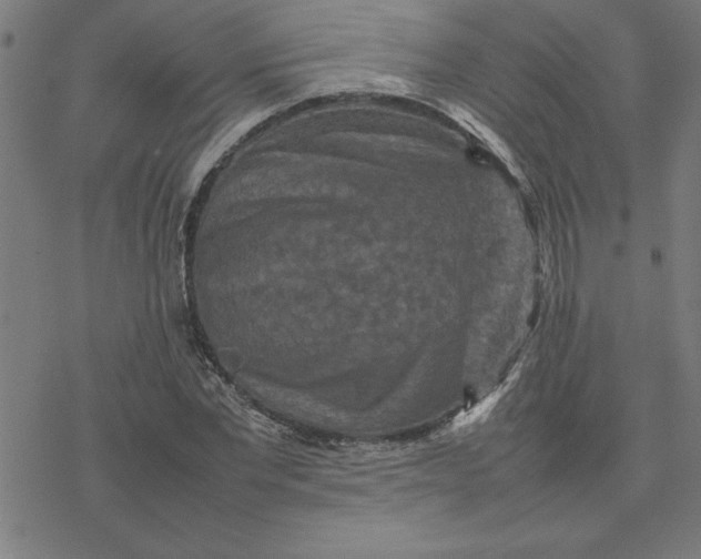 X0000077290877200611101340