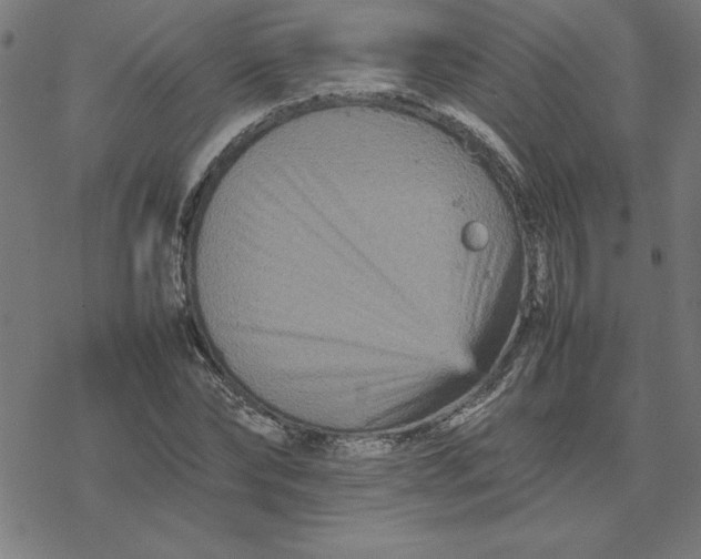 X0000077290878200611101340