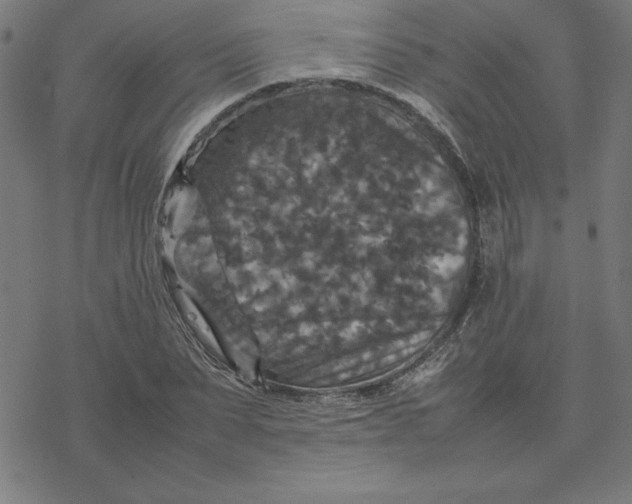 X0000077290879200611101340